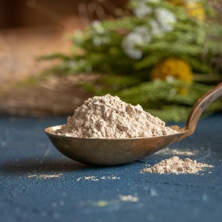 Bio-Flohsamenschalen (Psyllium Husk) Pulver