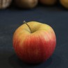 Organic apples CHAMPION