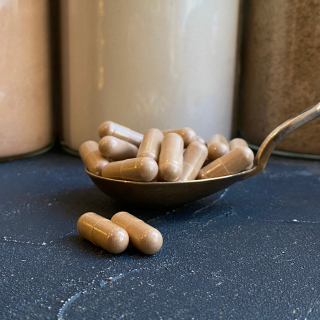 Ekologiškas tikrinis blizgutis (reishi) grybas, 500 mg kapsulėse