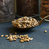 Organic Milk Thistle seeds