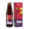 Vaisių ir žolelių gėrimas su medumi, geležimi ir vitaminais C, B1, B2, B6, B12, 450 ml