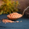 Gebrochene rote Bio-Linsen