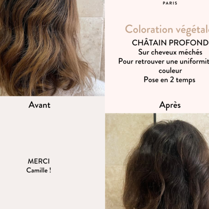 Ekologiški plaukų dažai  Chestnut Brown