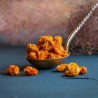 Bio-Physalis