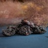 Entsteinte Bio-Pflaumen (getrocknet)