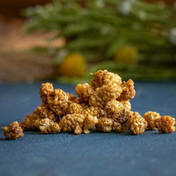 Bio-Maulbeeren