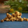 Органические ягоды шелковицы