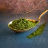 Bio-Chlorella-Pulver
