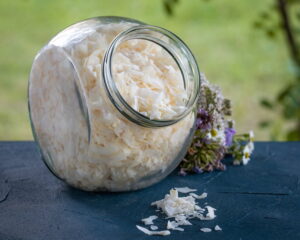 Bio-Kokosnuss-Scheiben (RAW)