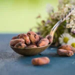 Bio Criollo Kakaobohnen RAW