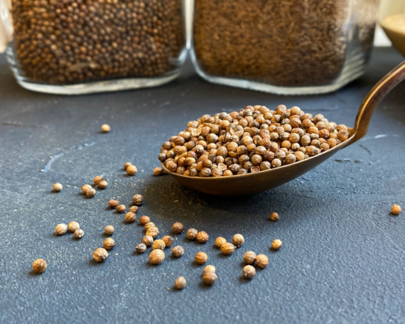 coriander Organic coriander seeds