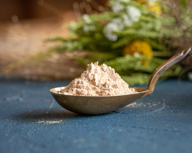 Organic Maitake powder Biopapa